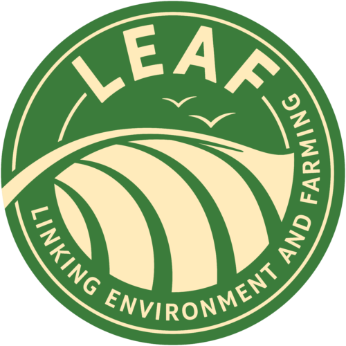LEAF_Logo_RGB_Green_Large Use Text